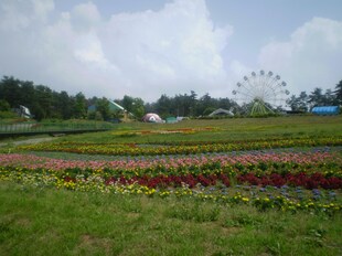 アーバン中桜田の物件内観写真